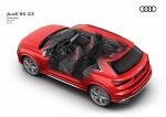 Audi RS Q3 2019 года (WW)